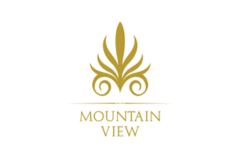 Mountain View Smart Website